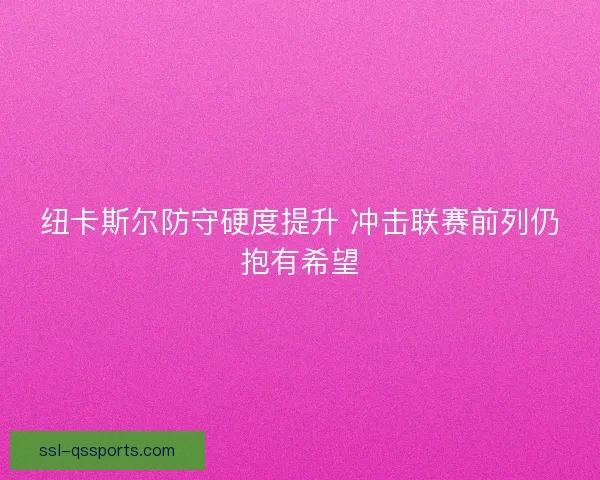 纽卡斯尔防守硬度提升 冲击联赛前列仍抱有希望 纽卡斯尔防守硬度提升 冲击联赛前列仍抱有希望